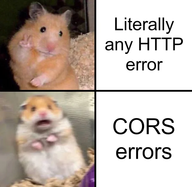 CORS Error Meme